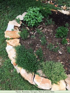 23 - Herb bed edged with the same stones used inside for the stone central cylinder (Thyme, Rosemary, Tarragon, Mint, Lemon balm)