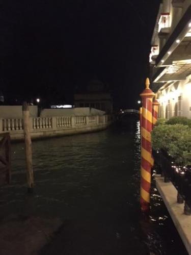 Venetian Canals at Night 1