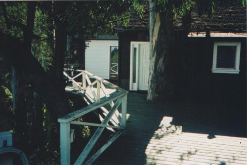The deck of the tree house