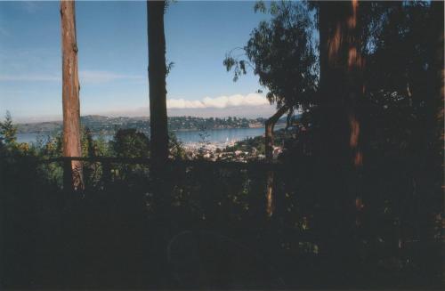 View of the bay from the deck