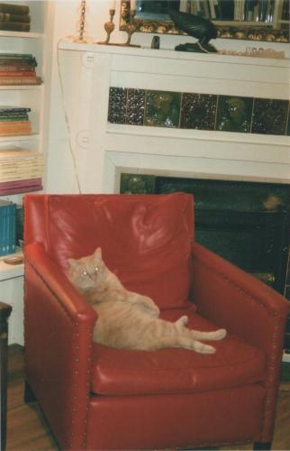 Fred reclining in a red chair